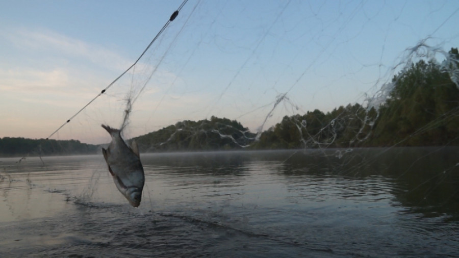 В Алтайском крае ловили рыбаков.