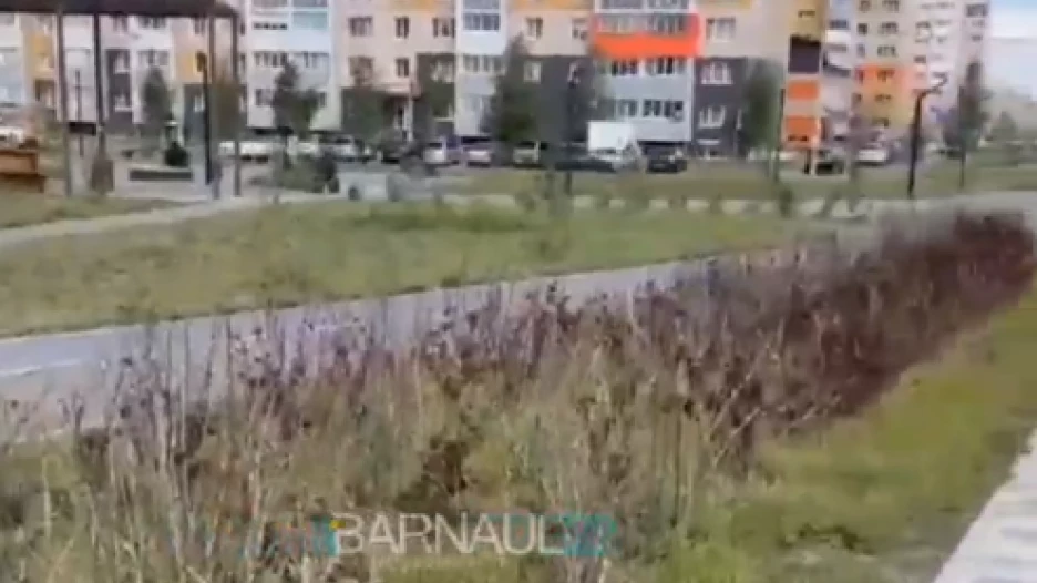 Сквер на улице Ускова в Барнауле.