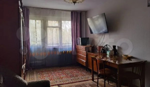 «Двушка» с интерьером а-ля советский модернизм продается в Барнауле на ул. Антона Петрова, 202 за 4,38 млн рублей.