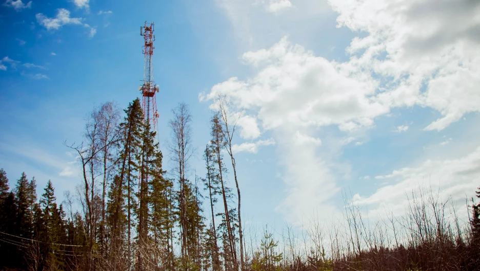 В Алтайском крае дачники стали активнее пользоваться 4G-интернетом.