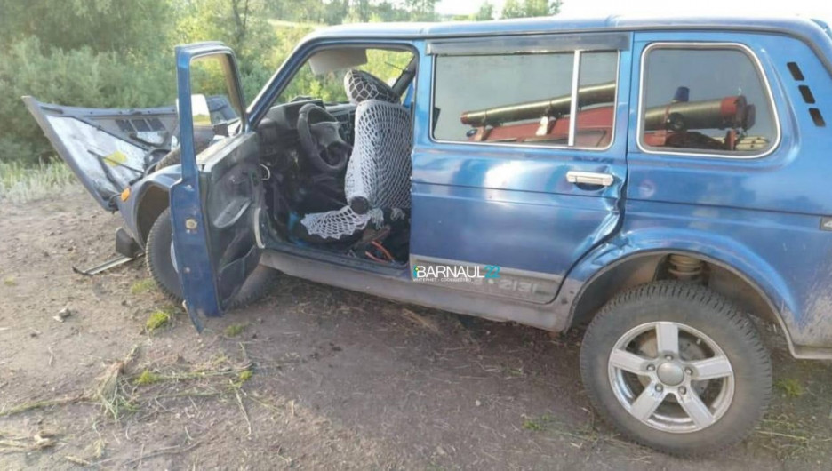 В Алтайском крае в ДТП с пьяным водителем пострадали 9 человек