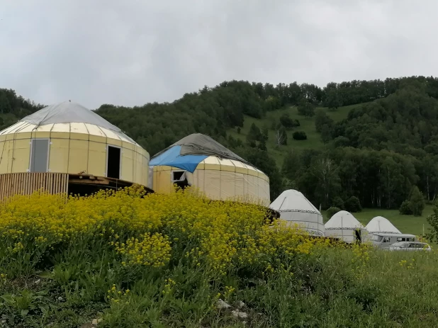 Юрточный этнокемпинг «Алтайское кочевье», Бирюзовая Катунь.