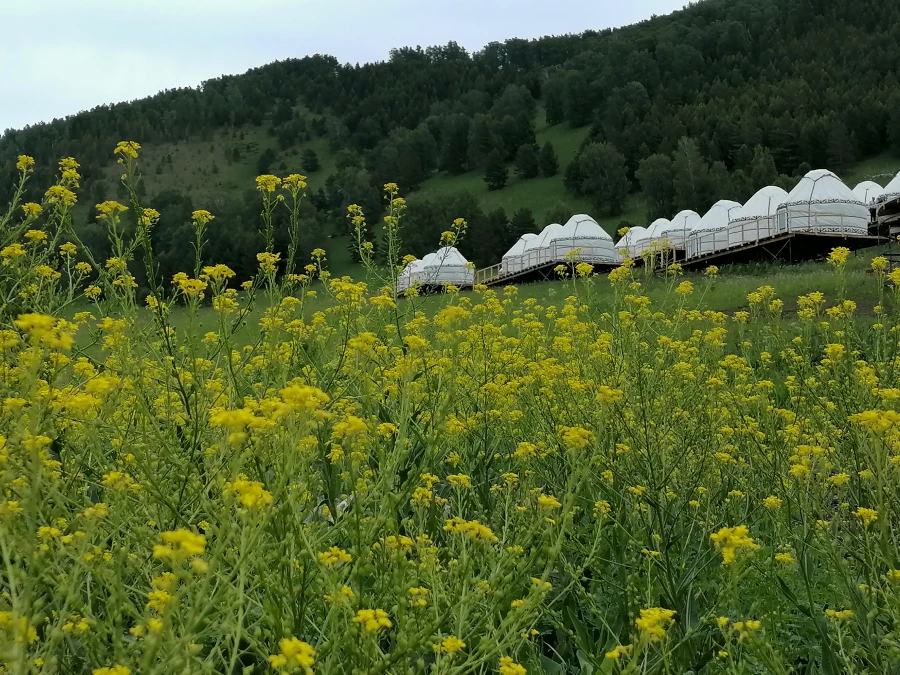 Юрточный этнокемпинг «Алтайское кочевье», Бирюзовая Катунь.