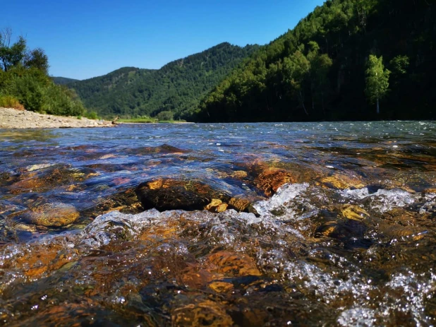 База отдыха "Белый берег".