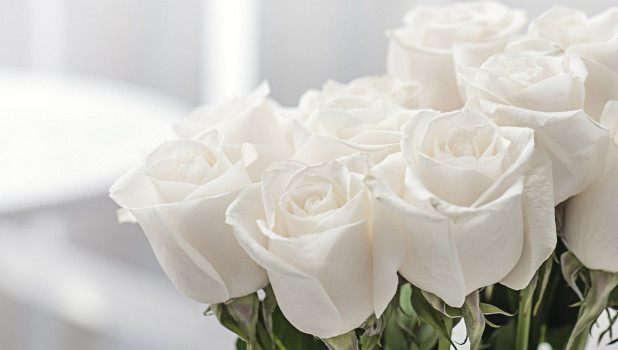 Белые розы. Букет.