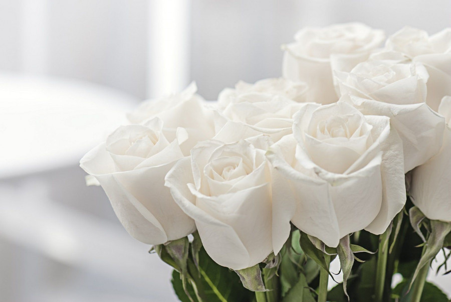 Белые розы. Букет.