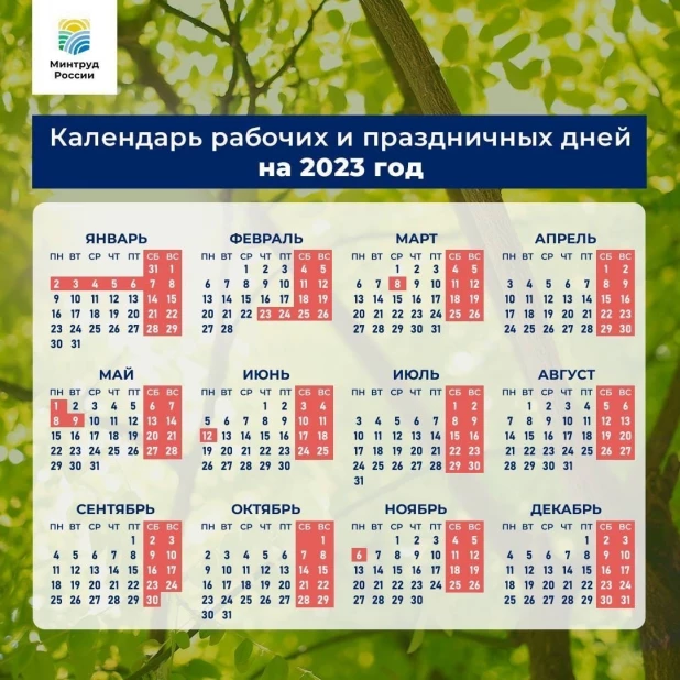 Календарь рабочих и праздничных дней в 2023 году.