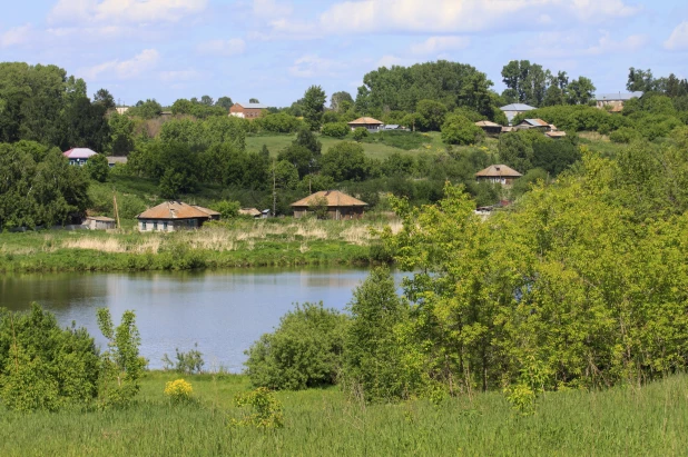 "Лосихинские родники". 