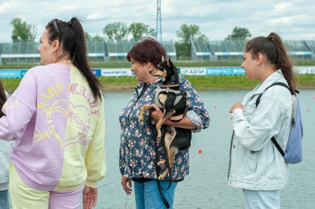 Соревнования по гребле на лодках-драконах среди журналистов.