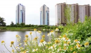 Жилье на Ковше