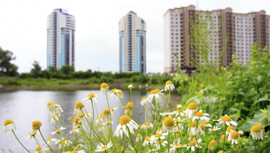 Жилье на Ковше