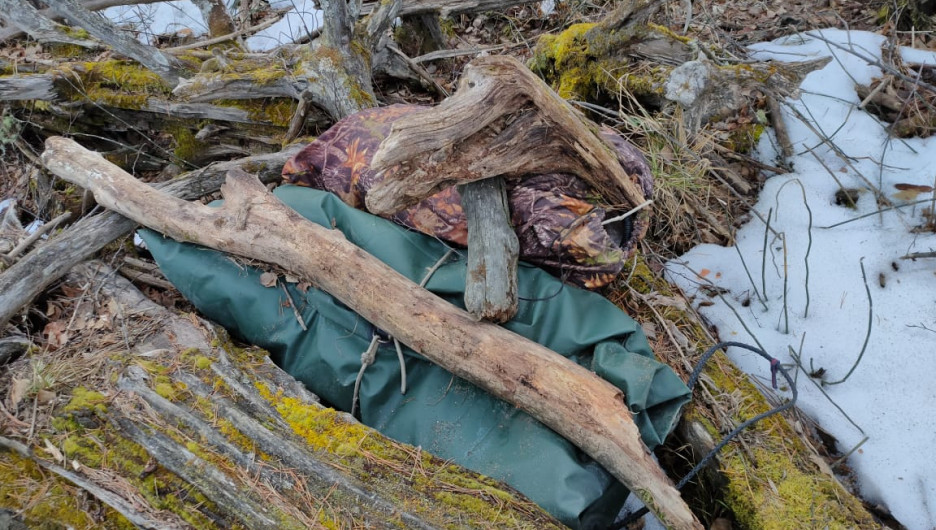 Браконьеры застрелили косулю в Алтайском заповеднике