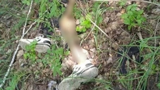 Скелет в кроссовках нашли в Мамонтовском районе