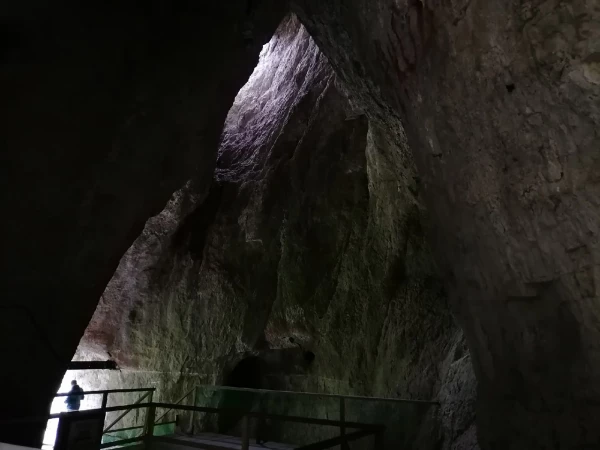 Первобытное искусство: «Пещера Альтамира»