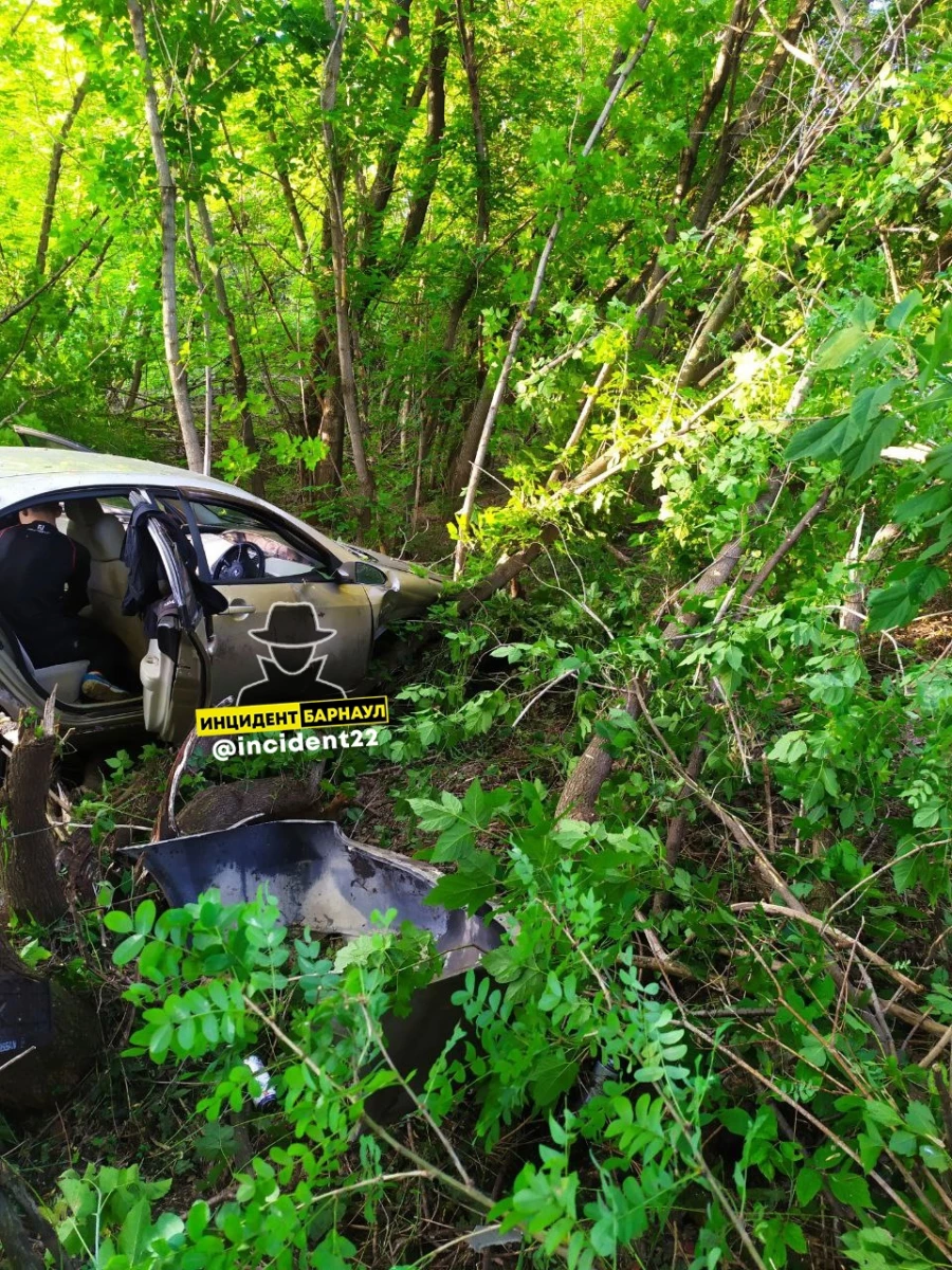 Автомобиль вылетел с трассы в лес 10 июля