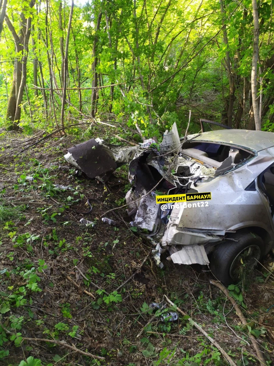 Автомобиль вылетел с трассы в лес 10 июля