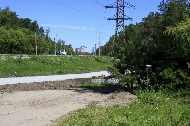 В Барнауле на Змеиногорском тракте делают велодорожку