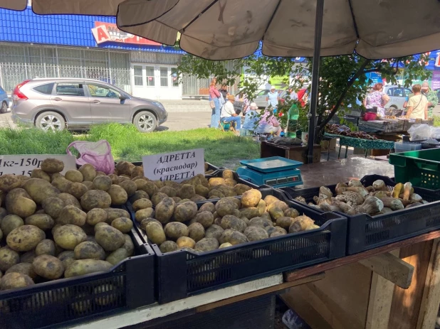 Урожай на рынках Барнаула