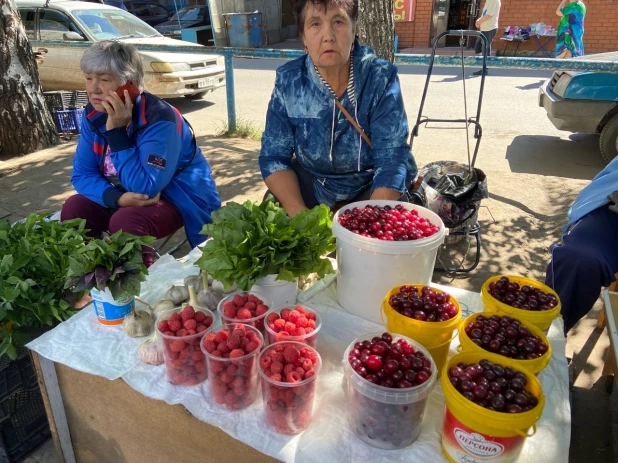 Урожай на барнаульских рынках