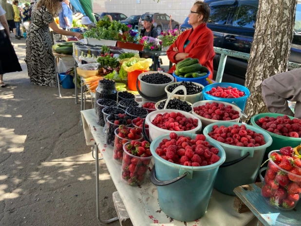 Урожай на барнаульских рынках