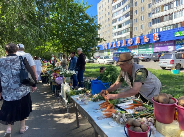 Урожай на барнаульских рынках