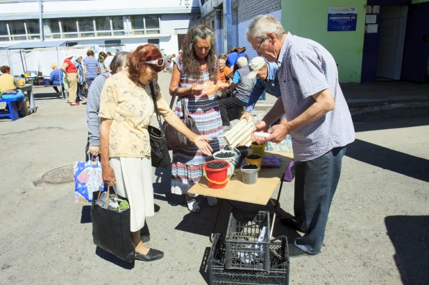 Торговля на Новом рынке