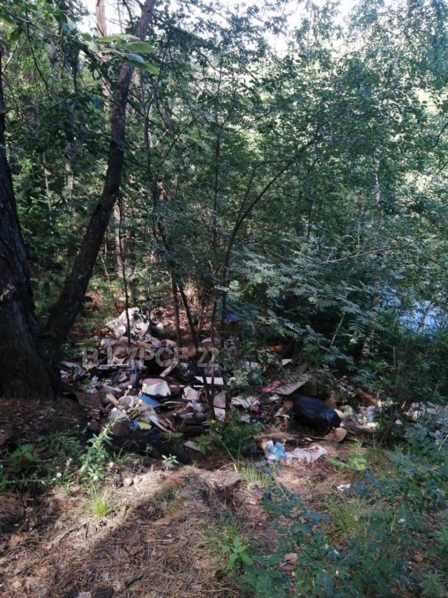 Несанкционированная свалка мусора в Ленточном бору