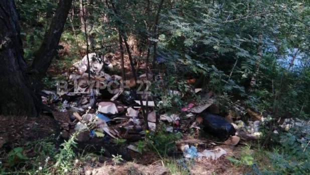 Несанкционированная свалка мусора в Ленточном бору