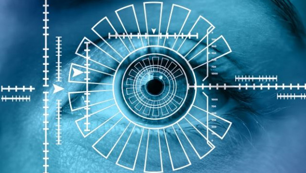 В Госдуму внесли законопроект об использовании биометрических данных
