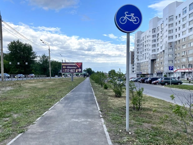 Велодорожка на Павловском тракте