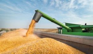 Россельхозбанк на Алтае увеличил кредитование сезонных работ.