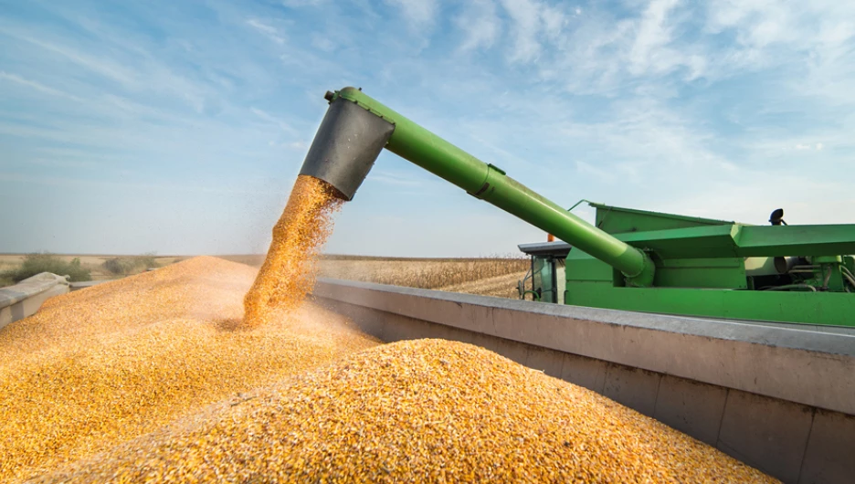 Россельхозбанк на Алтае увеличил кредитование сезонных работ.