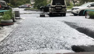 Град в центре Барнаула. 