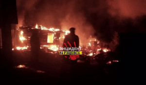 Пожар в садовых домиках в Рубцовске. 