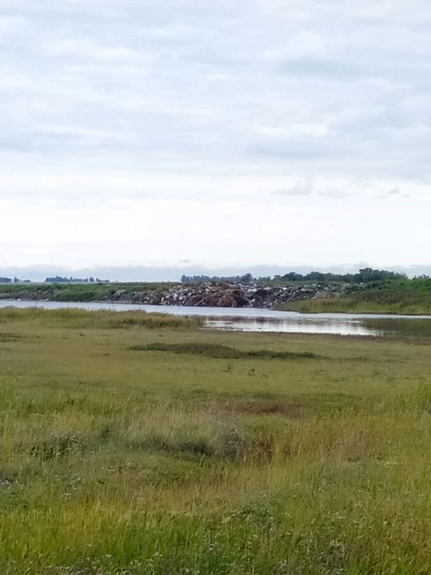 В алтайском райцентре загрязняют водоемы мусором с полигона.