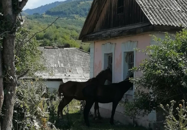 Текели. Казахстан.