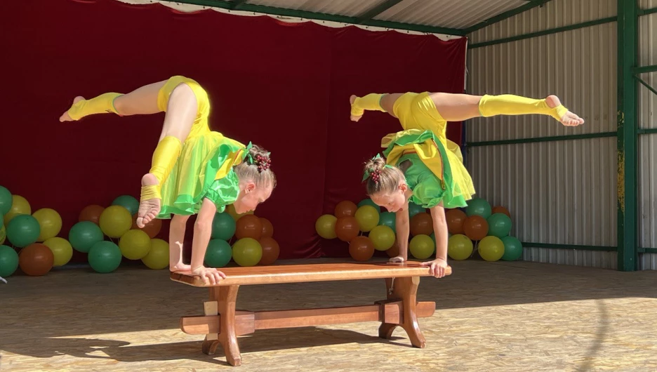 Праздник для воспитанников барнаульских Центров помощи детям.