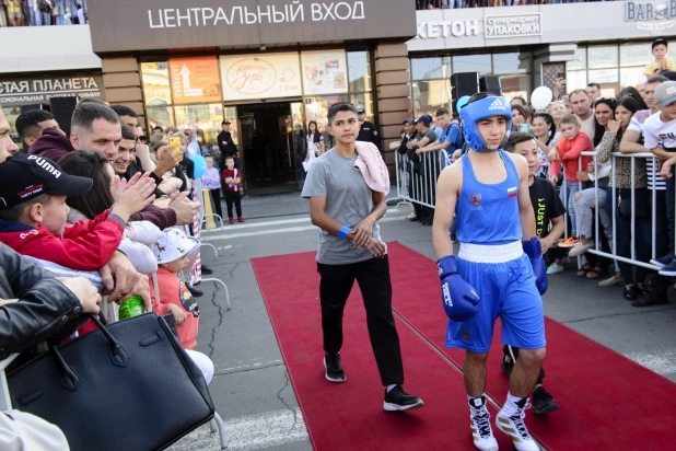 В Барнауле на День города прошли бои ММА.