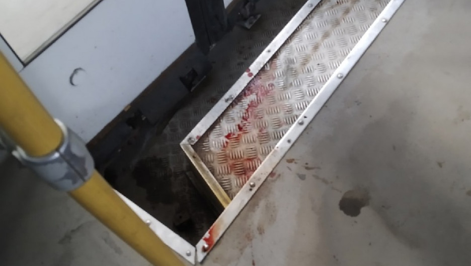 Сибирячка ударилась и залила кровью автобус после того, как водитель резко тронулся с места