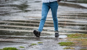 Как осенний дождь взбудоражил Барнаул 12.09.2022.