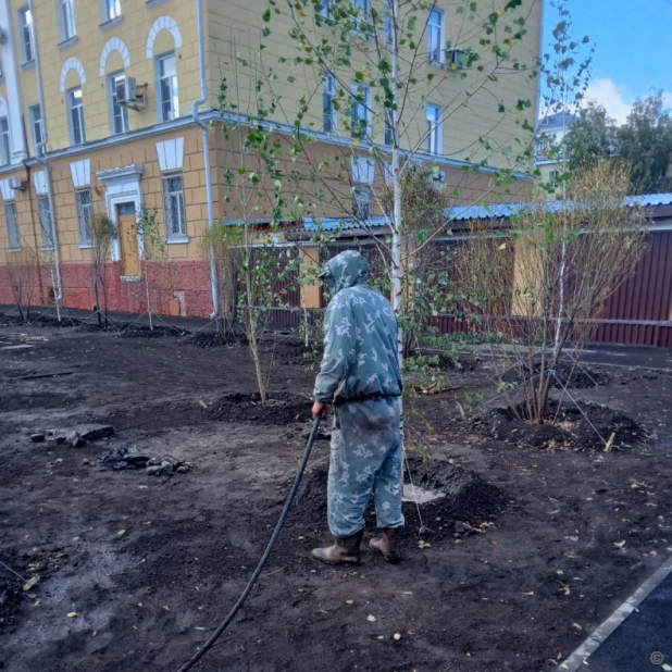 Деревья начали высаживать в сквере медиков в Барнауле