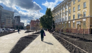 Деревья начали высаживать в сквере медиков в Барнауле