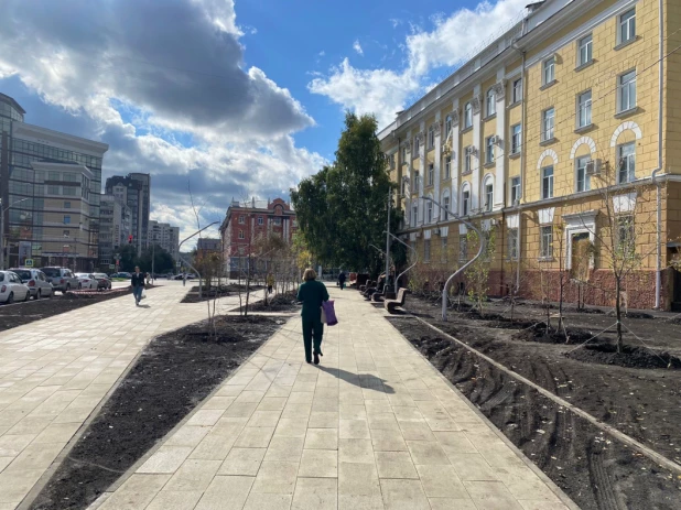 Деревья начали высаживать в сквере медиков в Барнауле