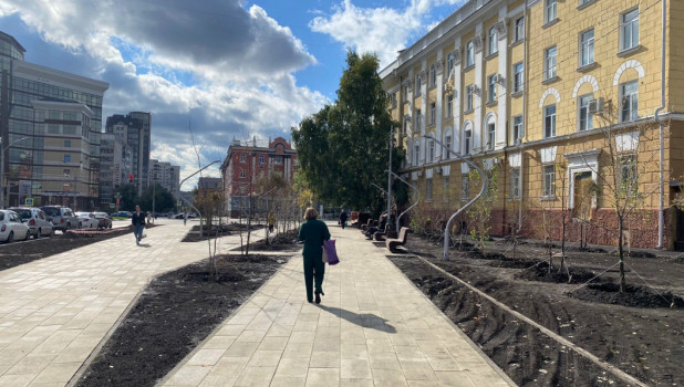 Деревья начали высаживать в сквере медиков в Барнауле