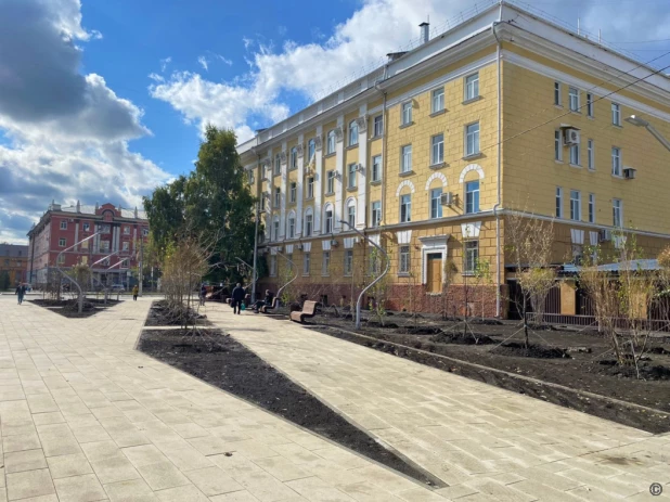 Деревья начали высаживать в сквере медиков в Барнауле