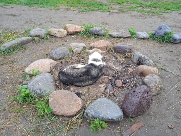 Музей реконструкций в Чарышском районе.