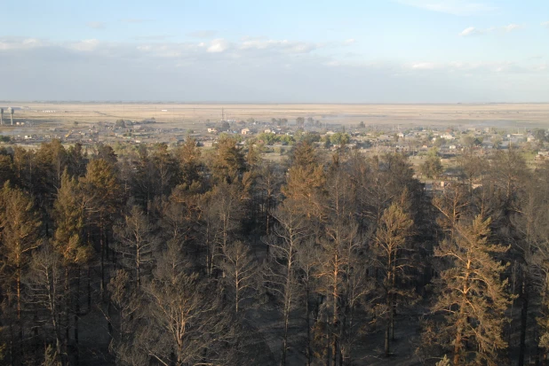 Пожар в Николаевке 2010.