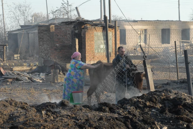 Пожар в Николаевке 2010.