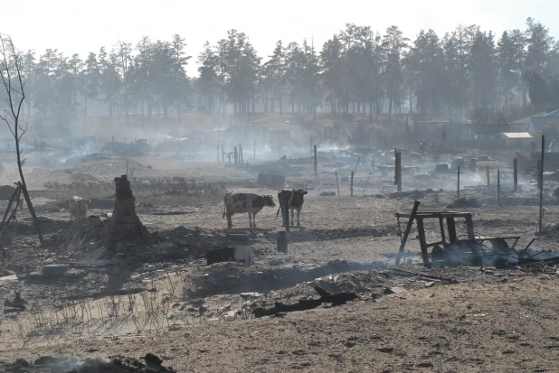 Пожар в Николаевке 2010.