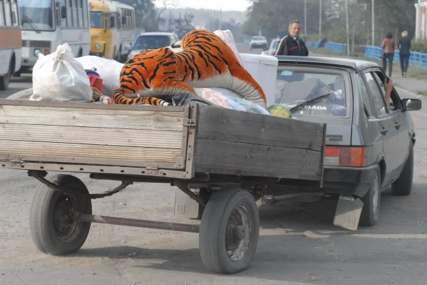 Пожар в Николаевке 2010.